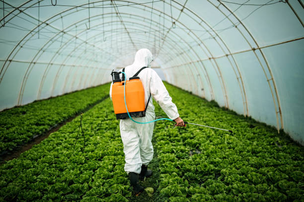 Pest Control for Restaurants in Culver, IN