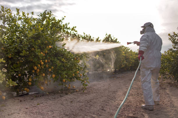 Best Pest Control Near Me in Culver, IN