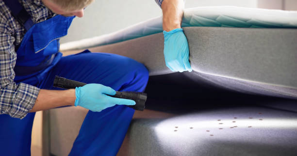 Best Termite Control Services  in Culver, IN