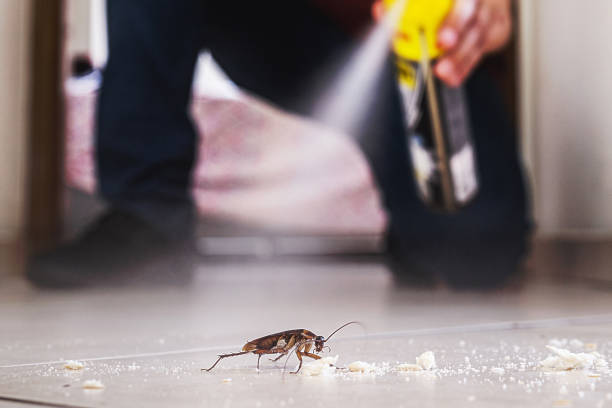 Best Affordable Pest Control Services  in Culver, IN